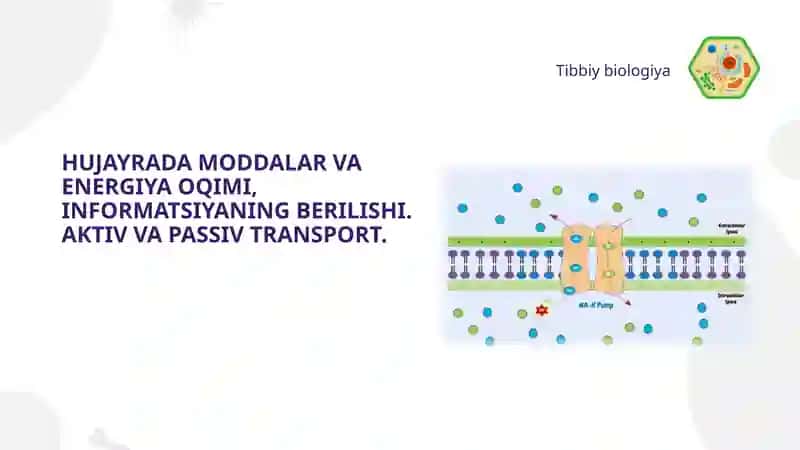 HUJAYRADA MODDALAR VA ENERGIYA OQIMI, INFORMATSIYANING BERILISHI