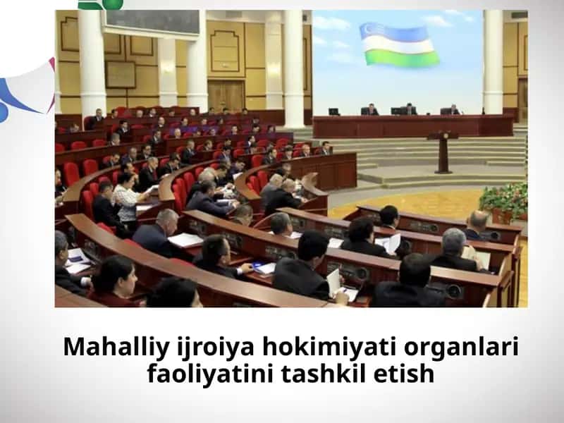 Mahalliy ijroiya hokimiyati organlari faoliyatini tashkil etish 1