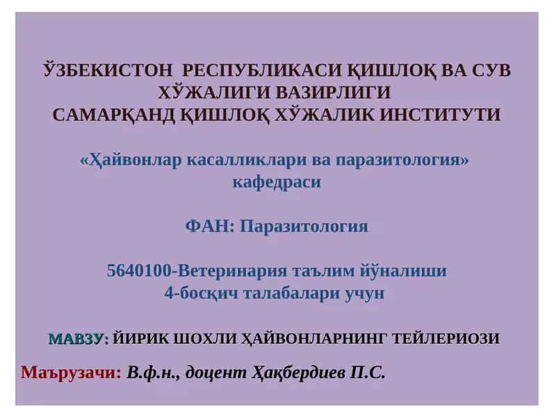 ЙИРИК ШОХЛИ ҲАЙВОНЛАРНИНГ ТЕЙЛЕРИОЗИ 1