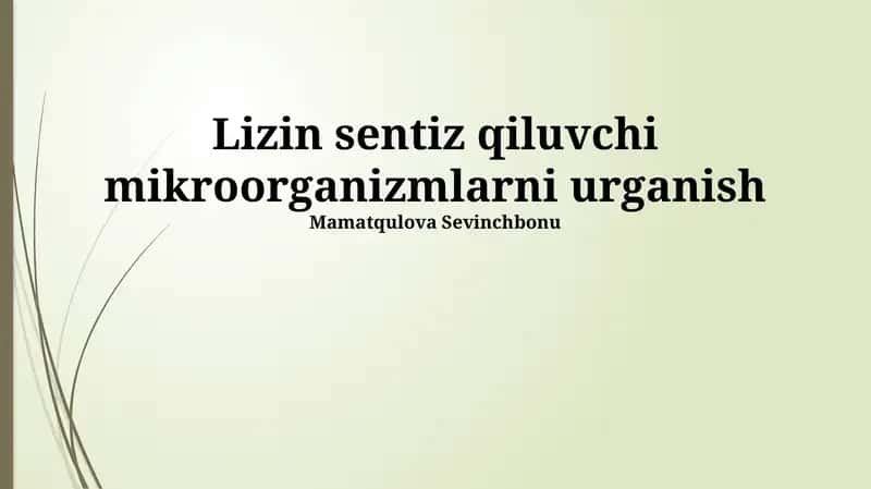 Lizin sentiz qiluvchi mikroorganizmlarni urganish 1