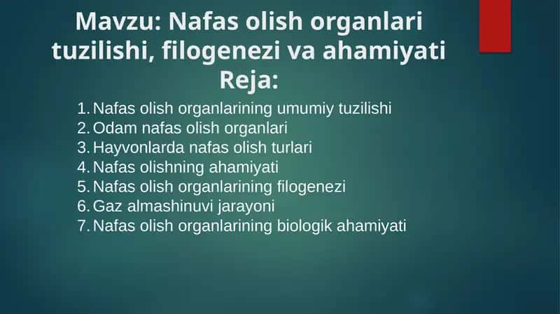 Nafas olish organlari tuzilishi, filogenezi va ahamiyati 1