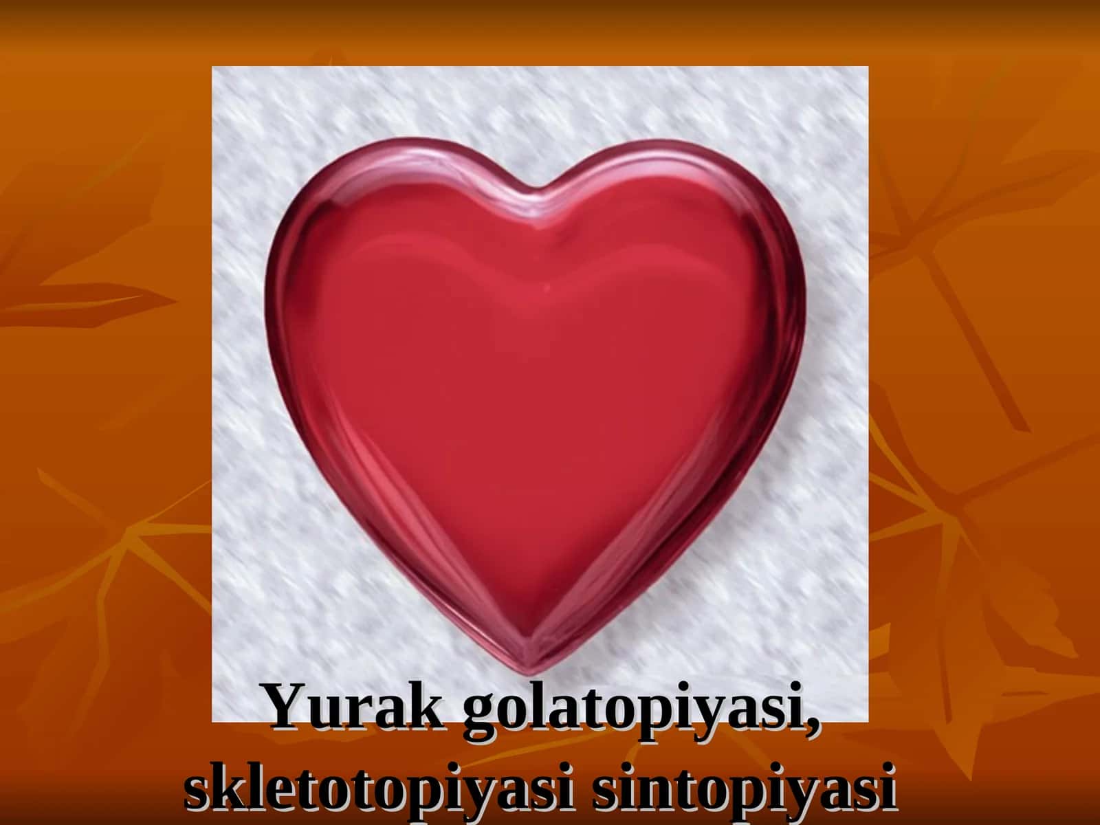 Yurak golatopiyasi, skletotopiyasi sintopiyasi 1