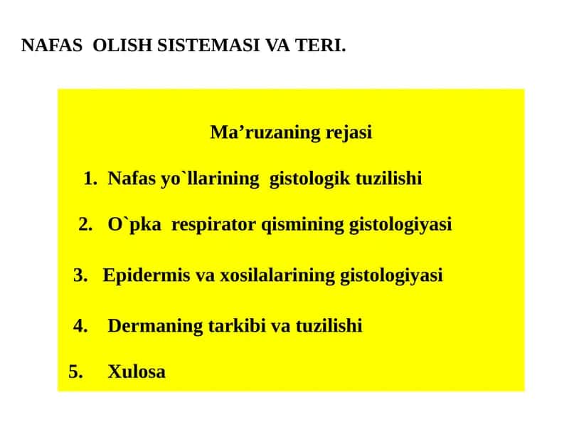 Nafasyo`llarining gistologik tuzilishi 1