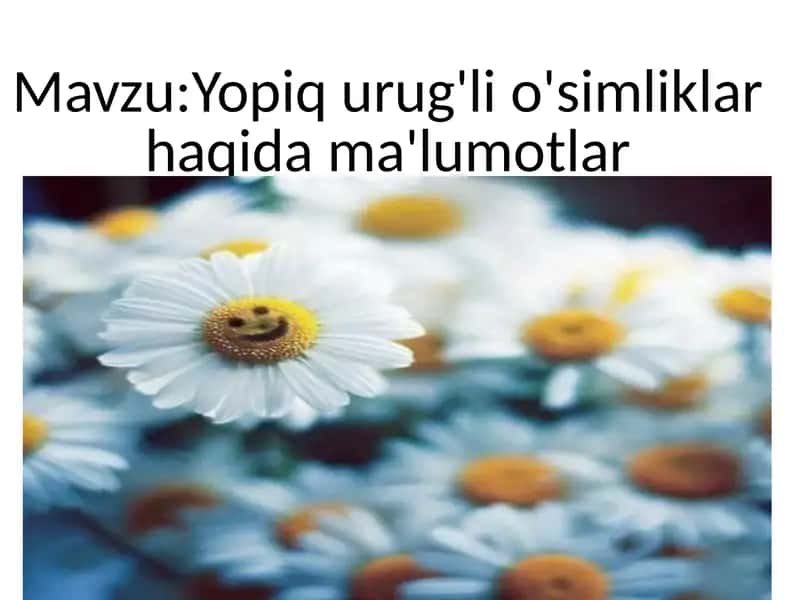 Amir Temurning davlat chegaralarini mustahkamlashi 1