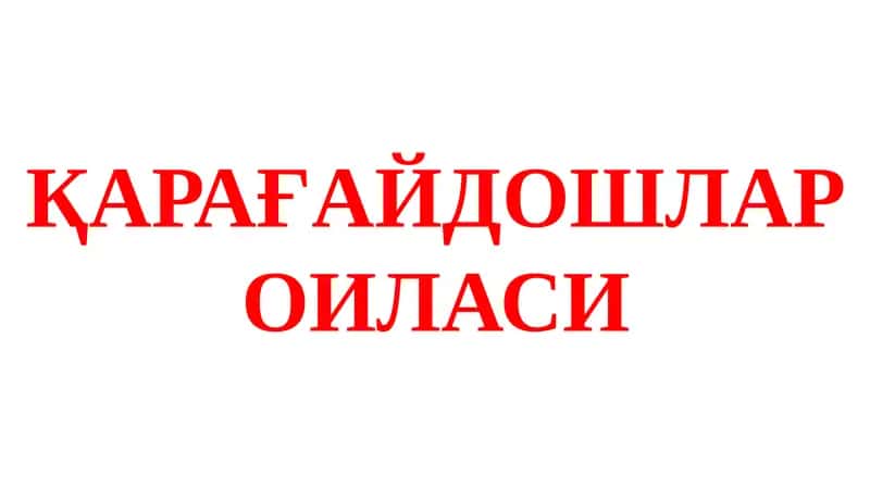 Қарағайдошлар оиласи 1
