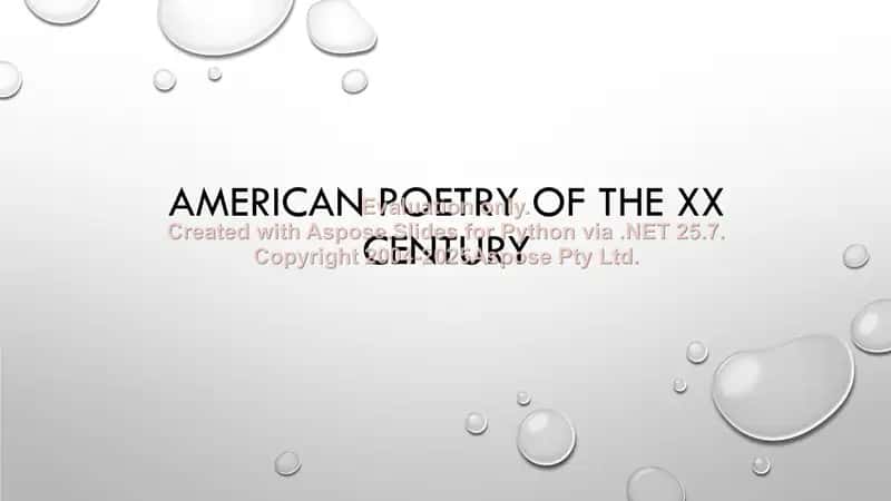 American poetry of the XX century 1