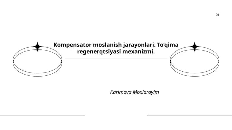 Kompensator moslanish jarayonlari 1