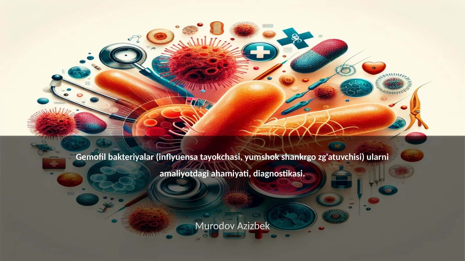 Gemofil bakteriyalar 1