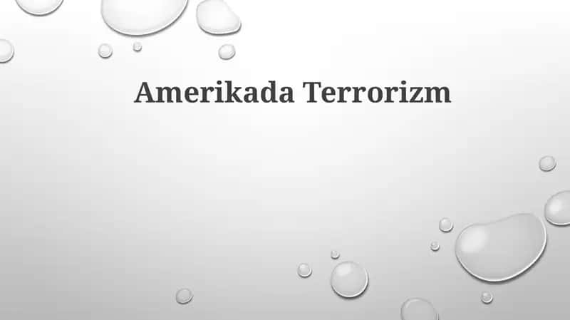AmerikadaTerrorizm 1