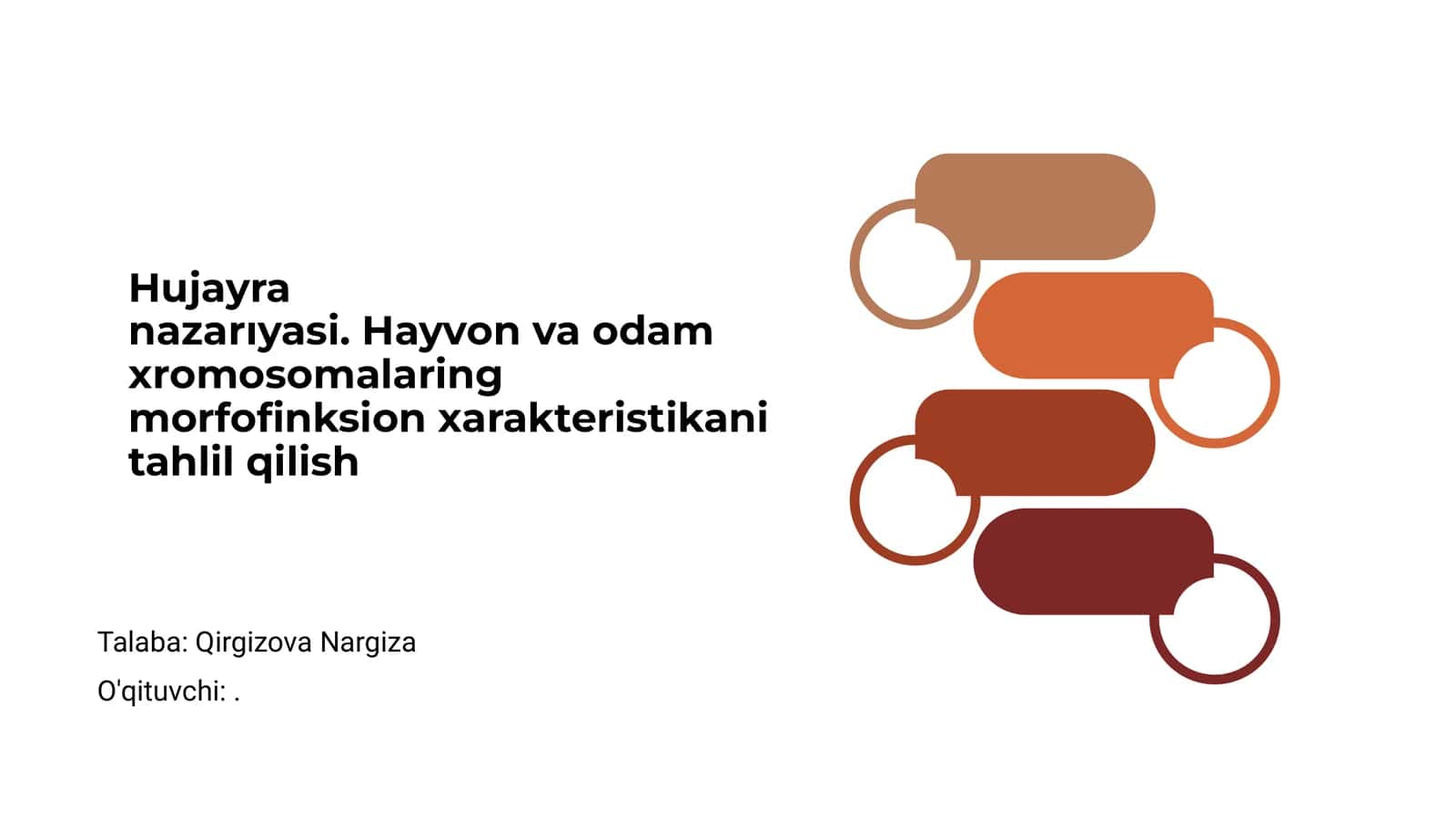 Hujayra 1