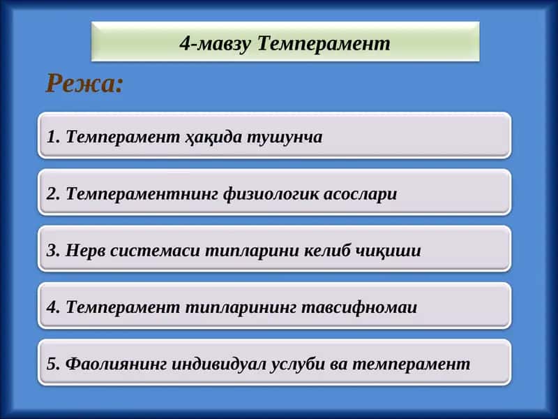 Темперамент 1