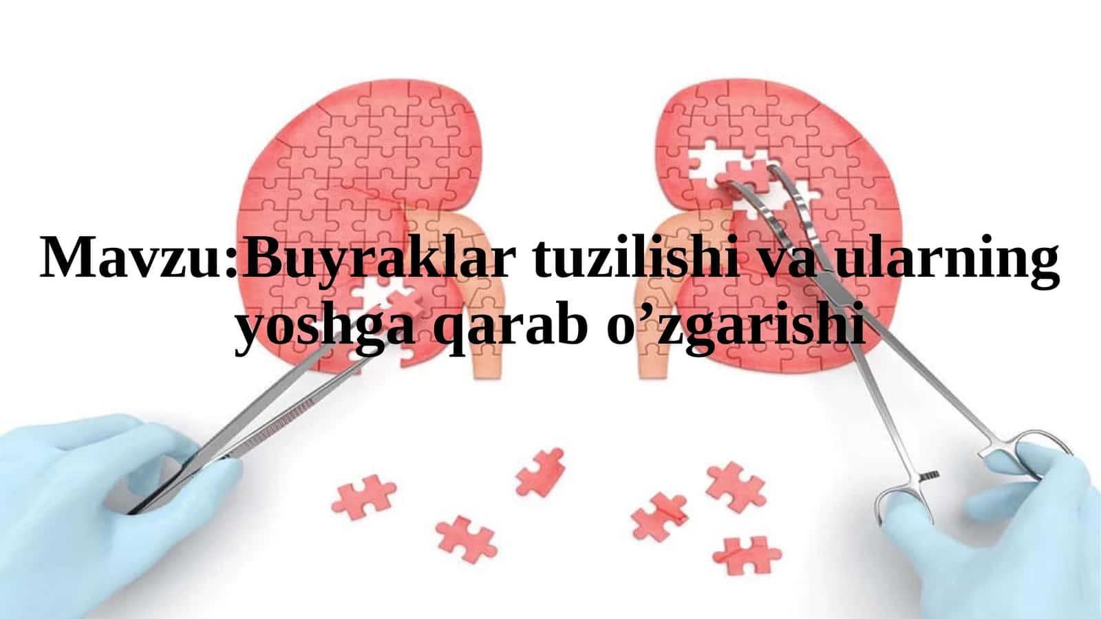 Buyraklar tuzilishi va ularning yoshga qarab o’zgarishi 1