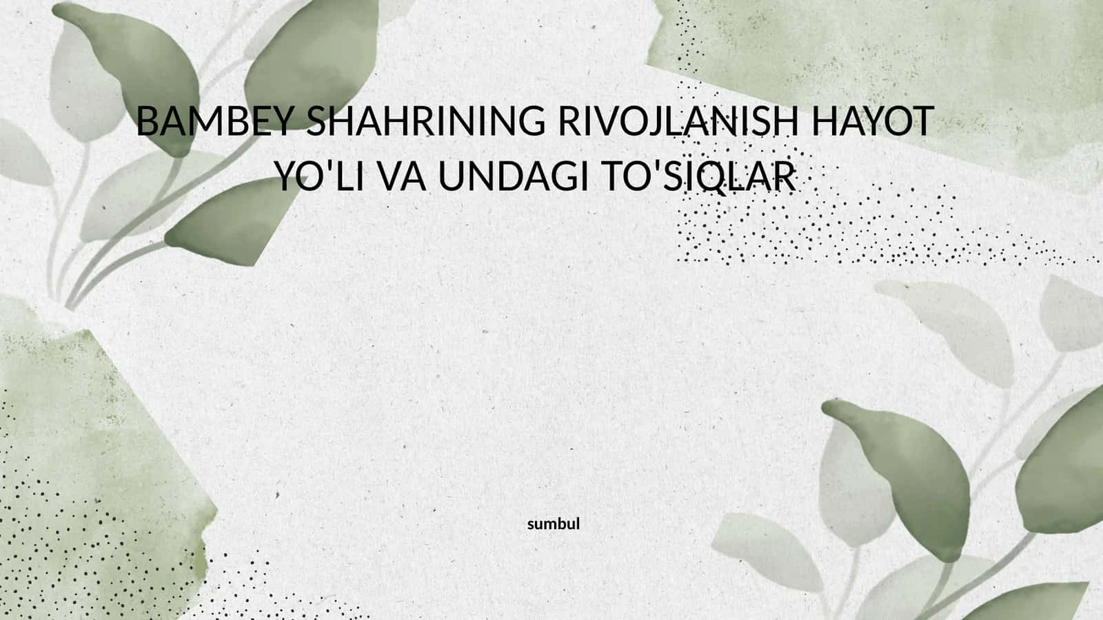 BAMBEY SHAHRINING RIVOJLANISH HAYOT YO'LI VA UNDAGI TO'SIQLAR 1