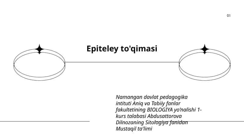 Epiteley to'qimasi 1