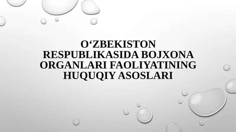 O‘zbekiston Respublikasi bo‘jxona organlarining faoliyatining huquqiy asoslari 1