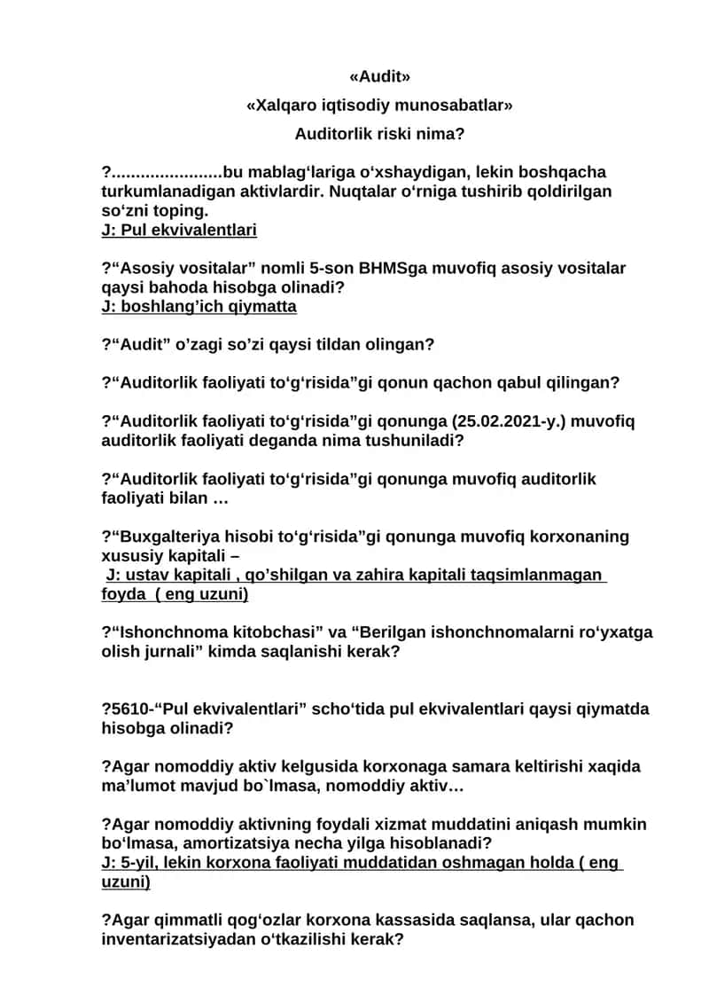 Audit 1