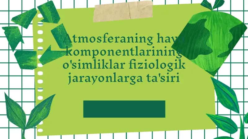 Atmosferaning havo komponentlarining o'simliklar fiziologik jarayonlarga ta'siri 1