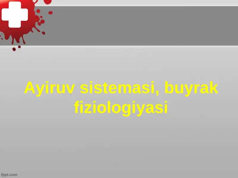 Ayiruv sistemasi, buyrak fiziologiyasi 1