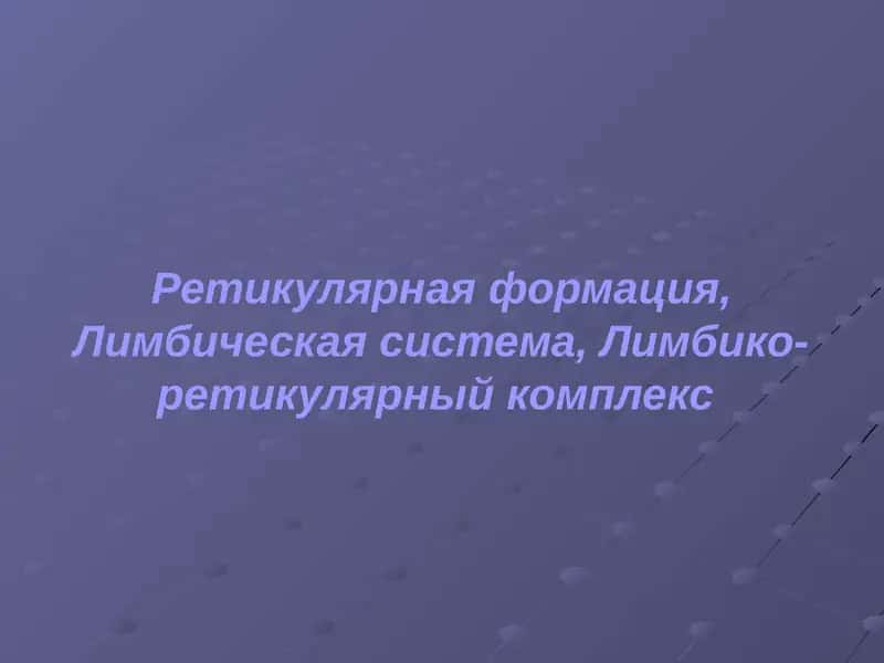 Ретикулярная формация 1
