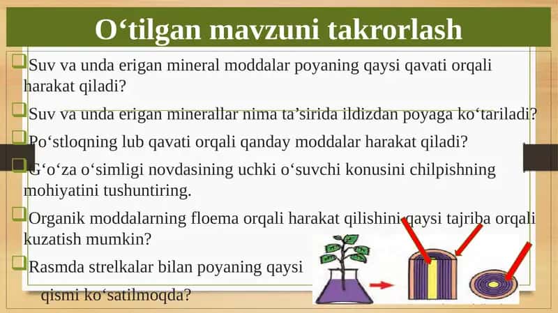 BARGLARDA ORGANIK MODDALARNING HOSIL BO'LISHI 1