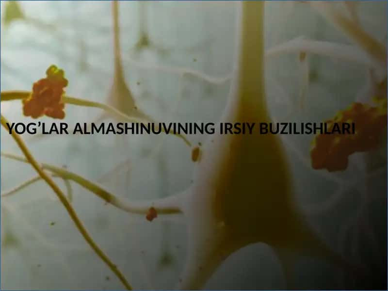 YOG’LAR ALMASHINUVINING IRSIY BUZILISHLARI 1