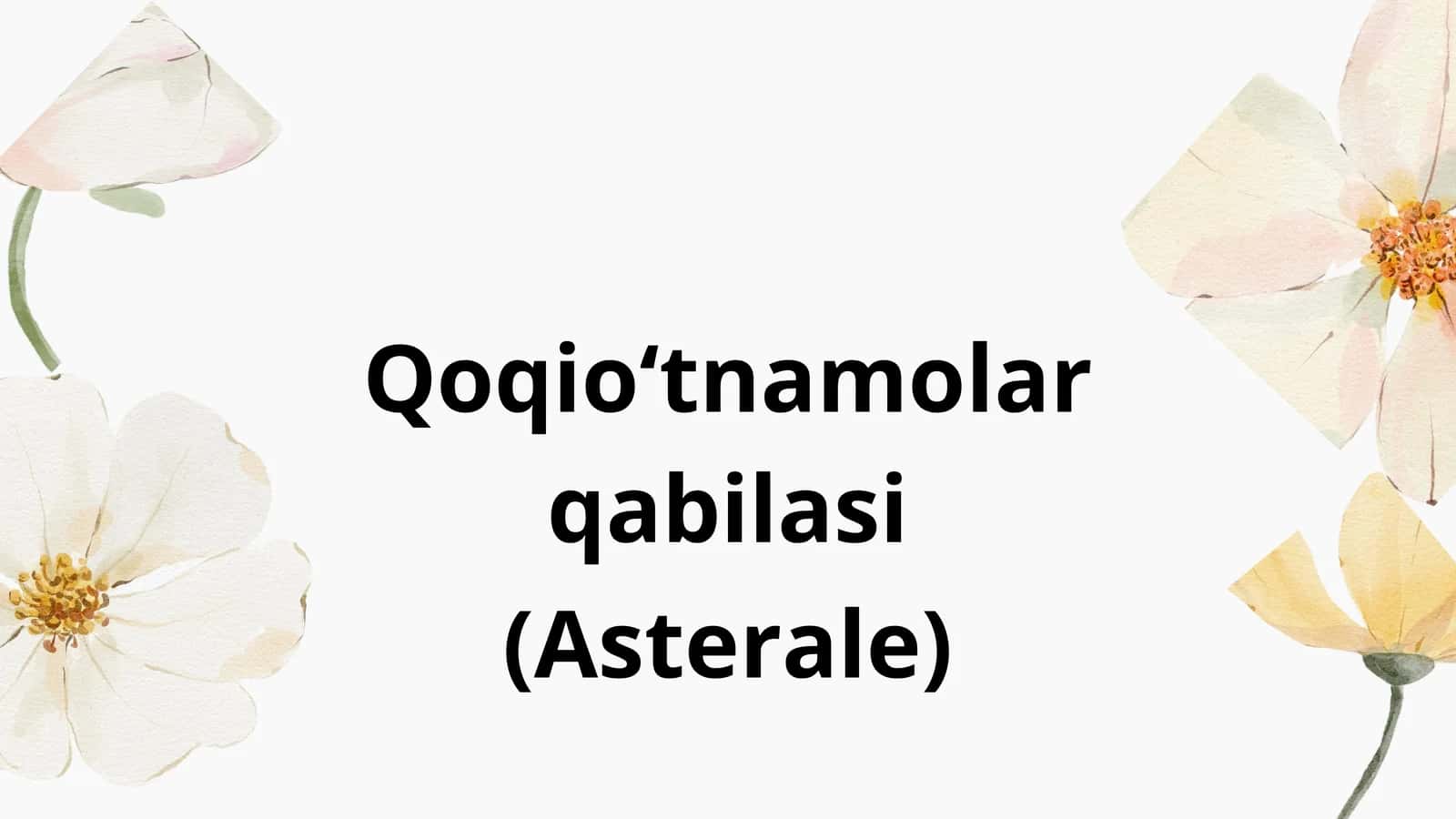 Qoqioʻtnamolarqabilasi (Asterale) 1