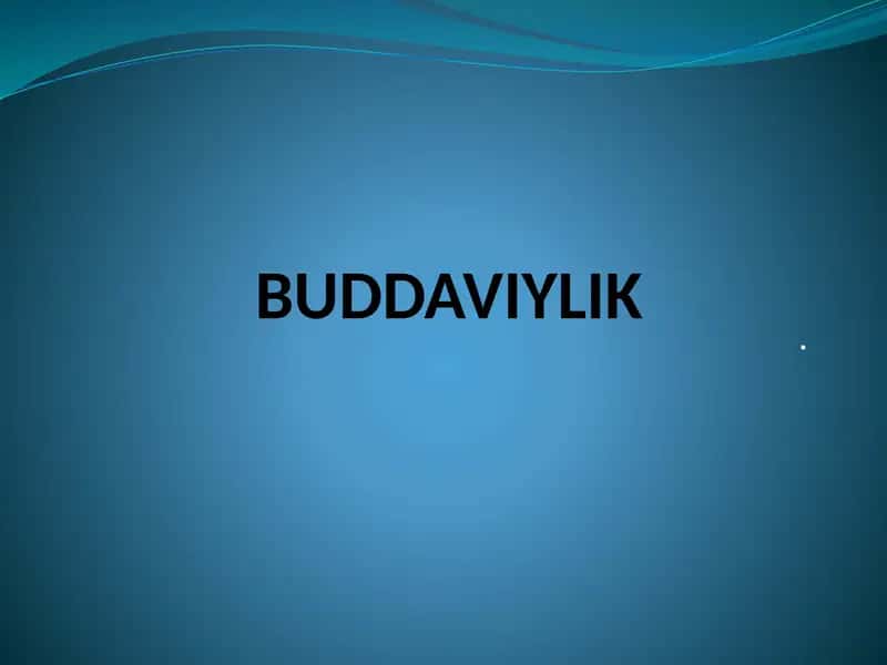 Buddaviylik 1
