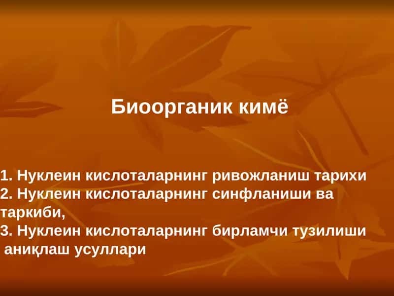 Нуклеин кислоталар 1