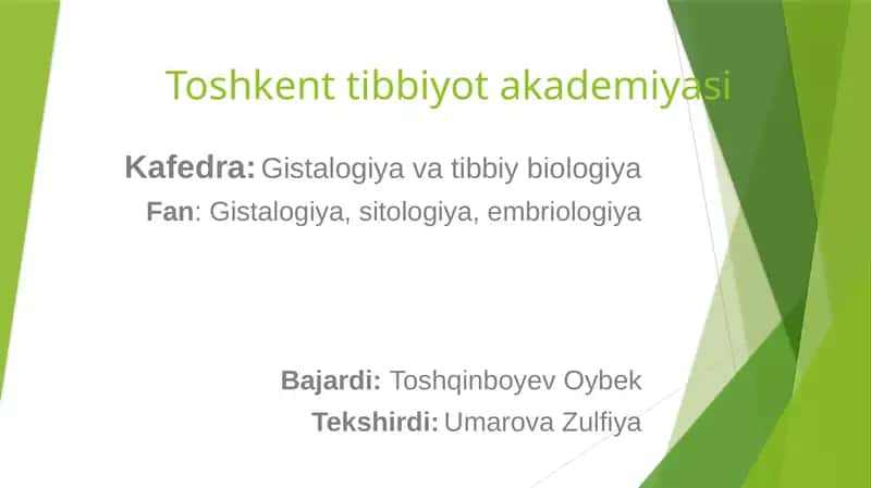 Hid bilish organing tuzulishi va uning regeneratsiya qilish xususiyati 1