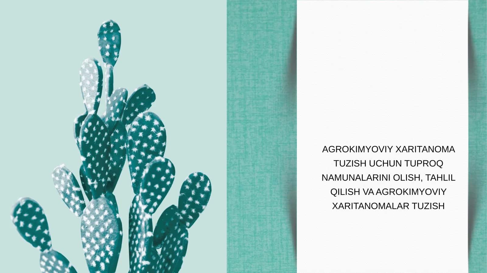 Agrokimyoviy xaritanoma 1