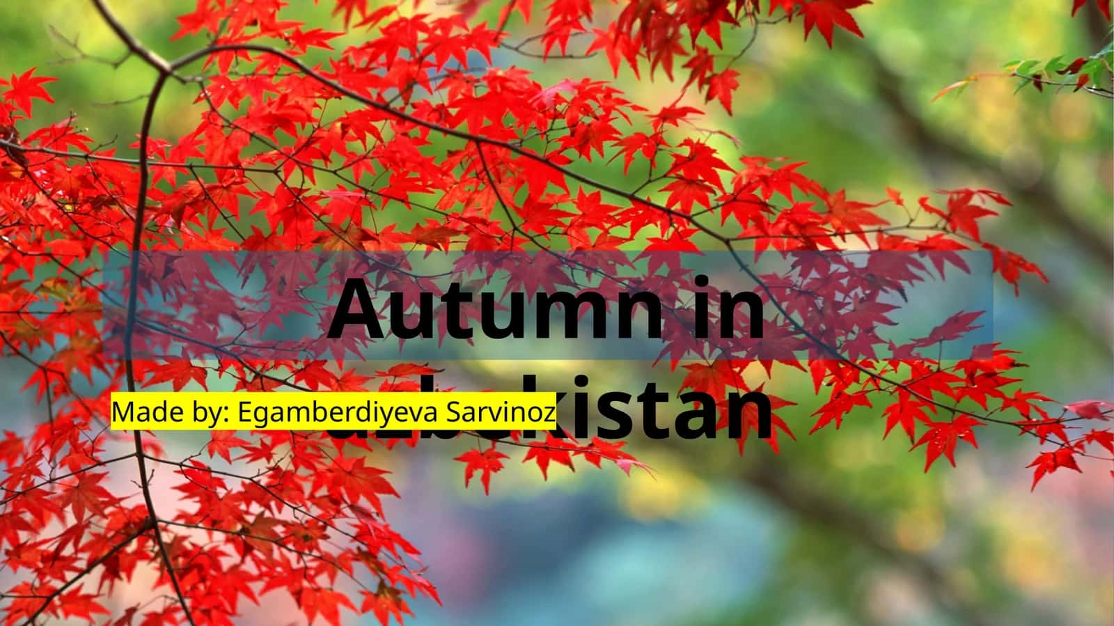 Autumn in Uzbekistan 1