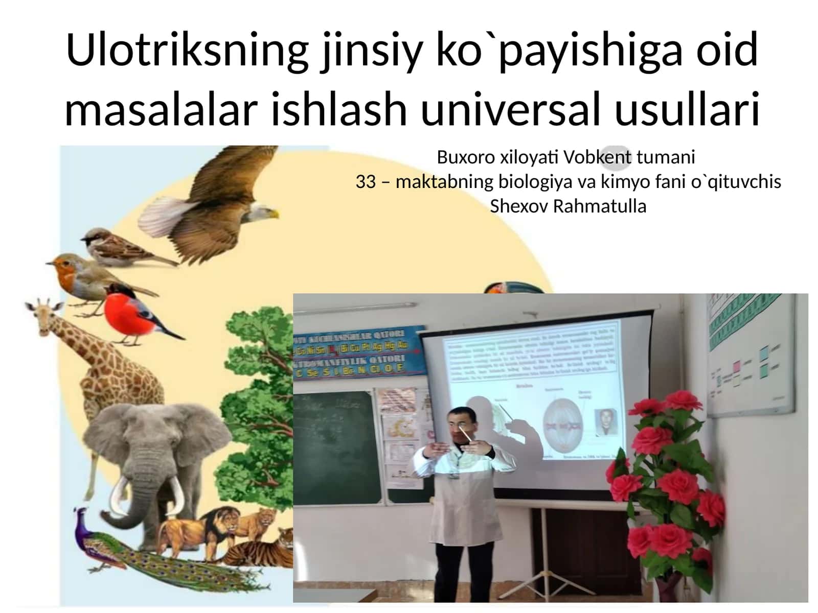 Ulotriksning jinsiy ko`payishiga oid masalalar ishlash universal usullari 1