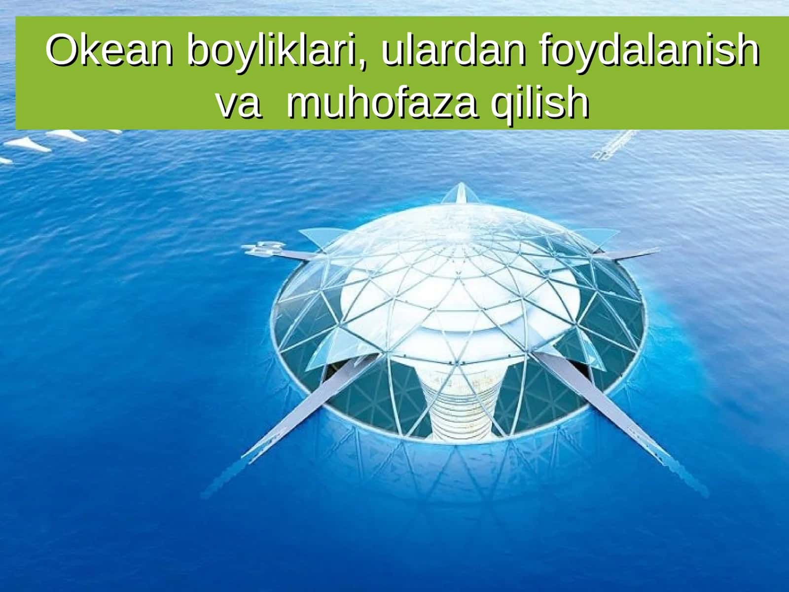Okean boyliklari, ulardan foydalanish va muhofaza qilish 1