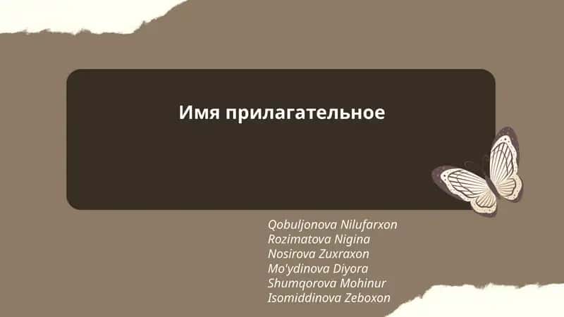Имя прилагательное 1