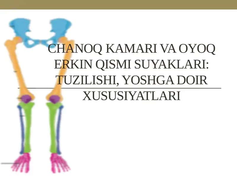 Chanoq KAMARI VA OYOQ ERKIN QISMI SUYAKLARI: TUZILISHI, YOSHGA DOIR XUSUSIYATLARI 1
