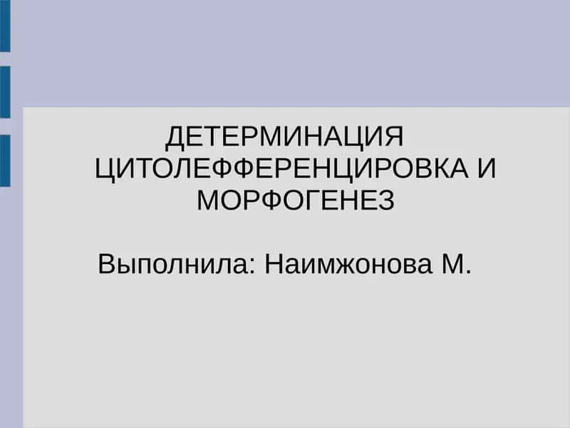 ДЕТЕРМИНАЦИЯ ЦИТОЛЕФФЕРЕНЦИРОВКА И МОРФОГЕНЕЗ 1