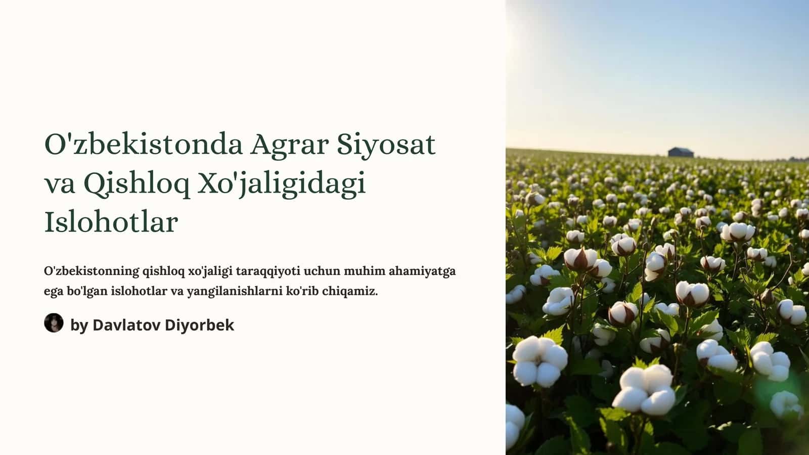 O'zbekistonda Agrar Siyosat va Qishloq Xo'jaligidagi Islohotlar 1