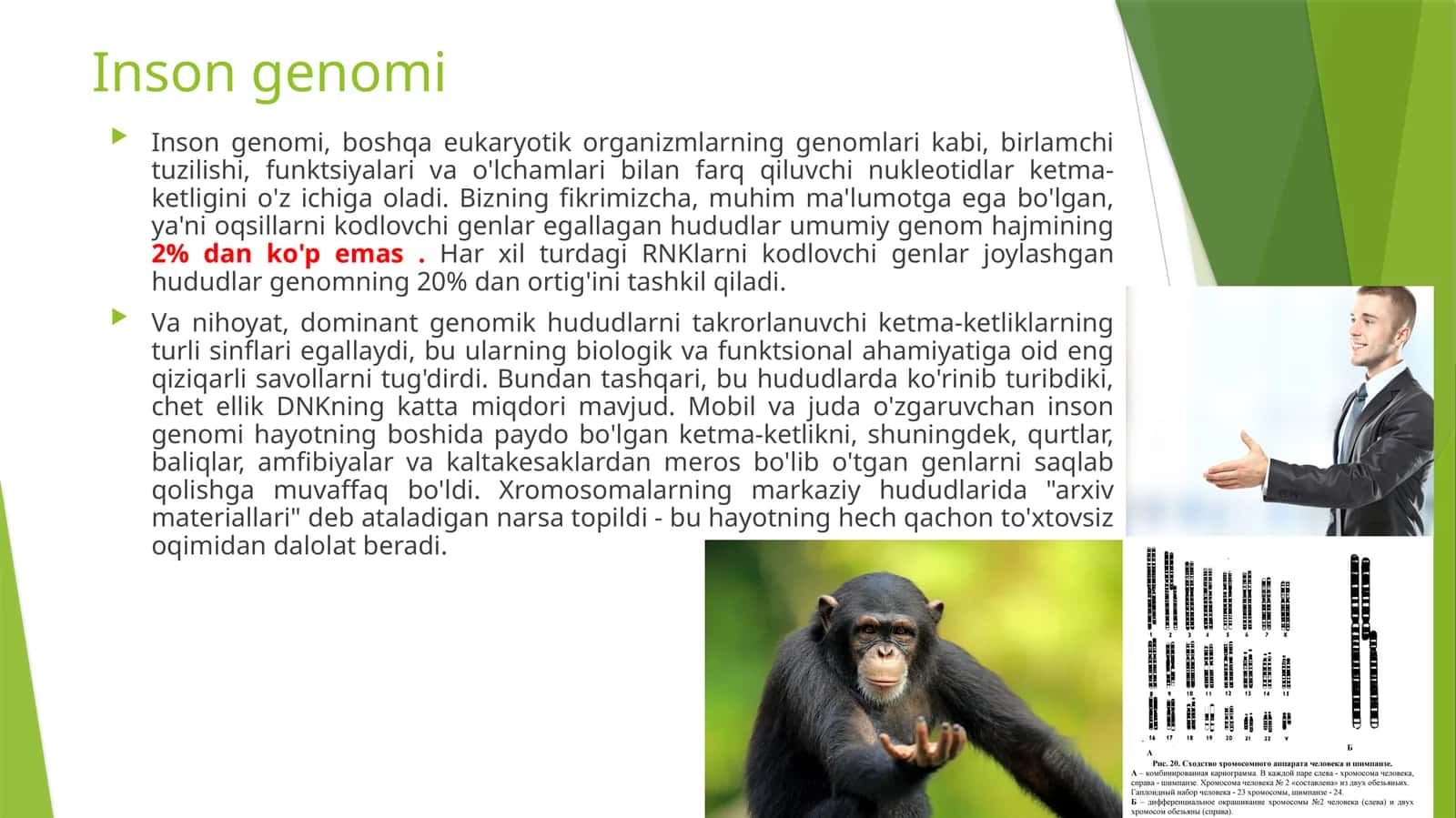 Inson genomi 1