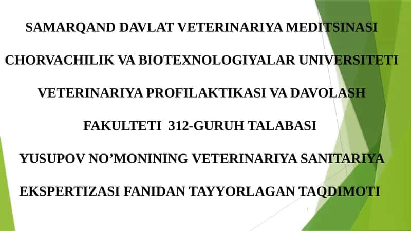 Tuzlangan sabzovotlarni sanitariya jixatdan tekshirish 1