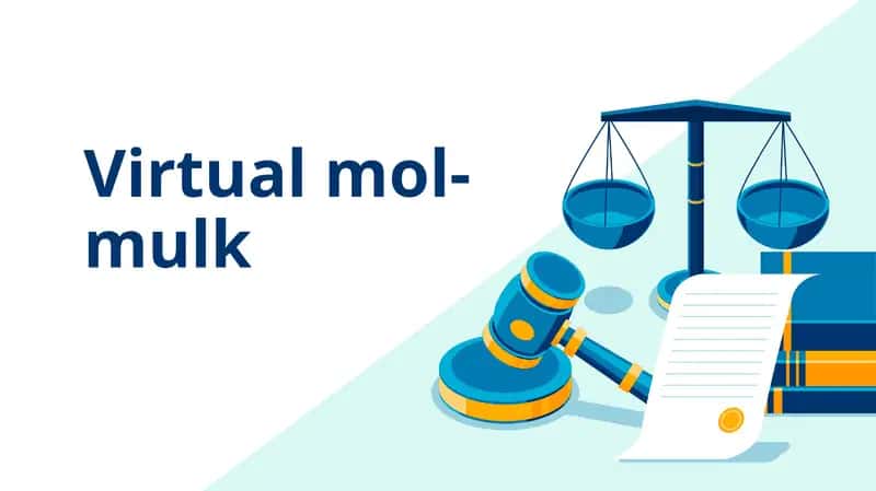 Virtual mol-mulk 1