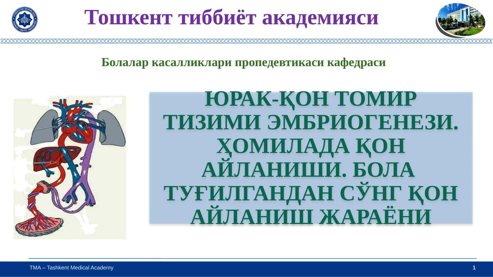 ЮРАК-ҚОН ТОМИР ТИЗИМИ ЭМБРИОГЕНЕЗИ 1
