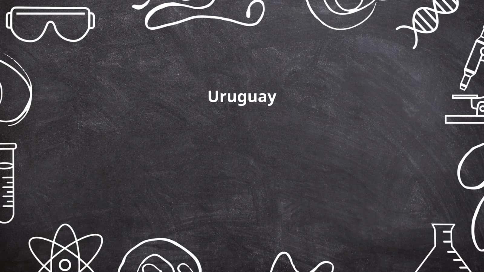 Uruguay History 1
