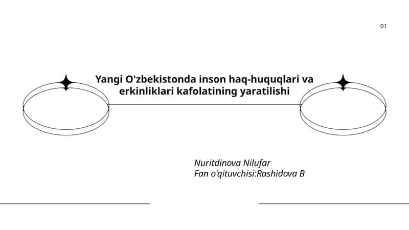 Yangi O'zbekistonda inson haq-huquqlari va erkinliklari kafolatining yaratilishi 1