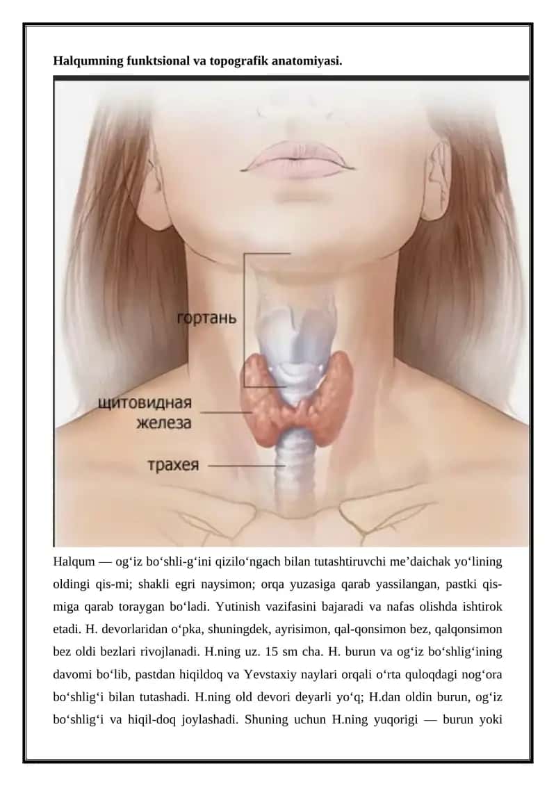 Halqumning funktsional va topografik anatomiyasi 1