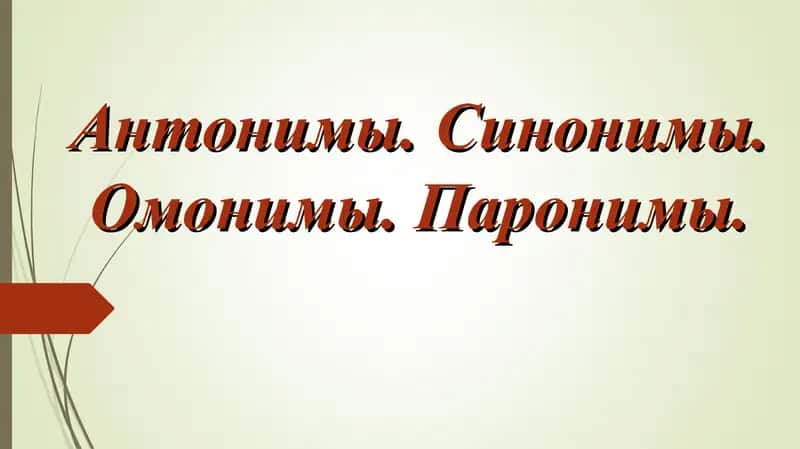 Антонимы. Синонимы. Омонимы. Паронимы. 1