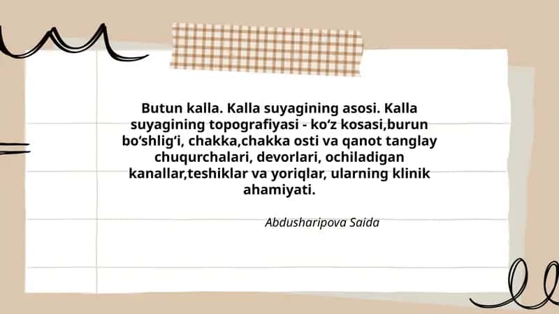 Butun kalla. Kalla suyagining asosi. Kalla suyagining topografiyasi 1