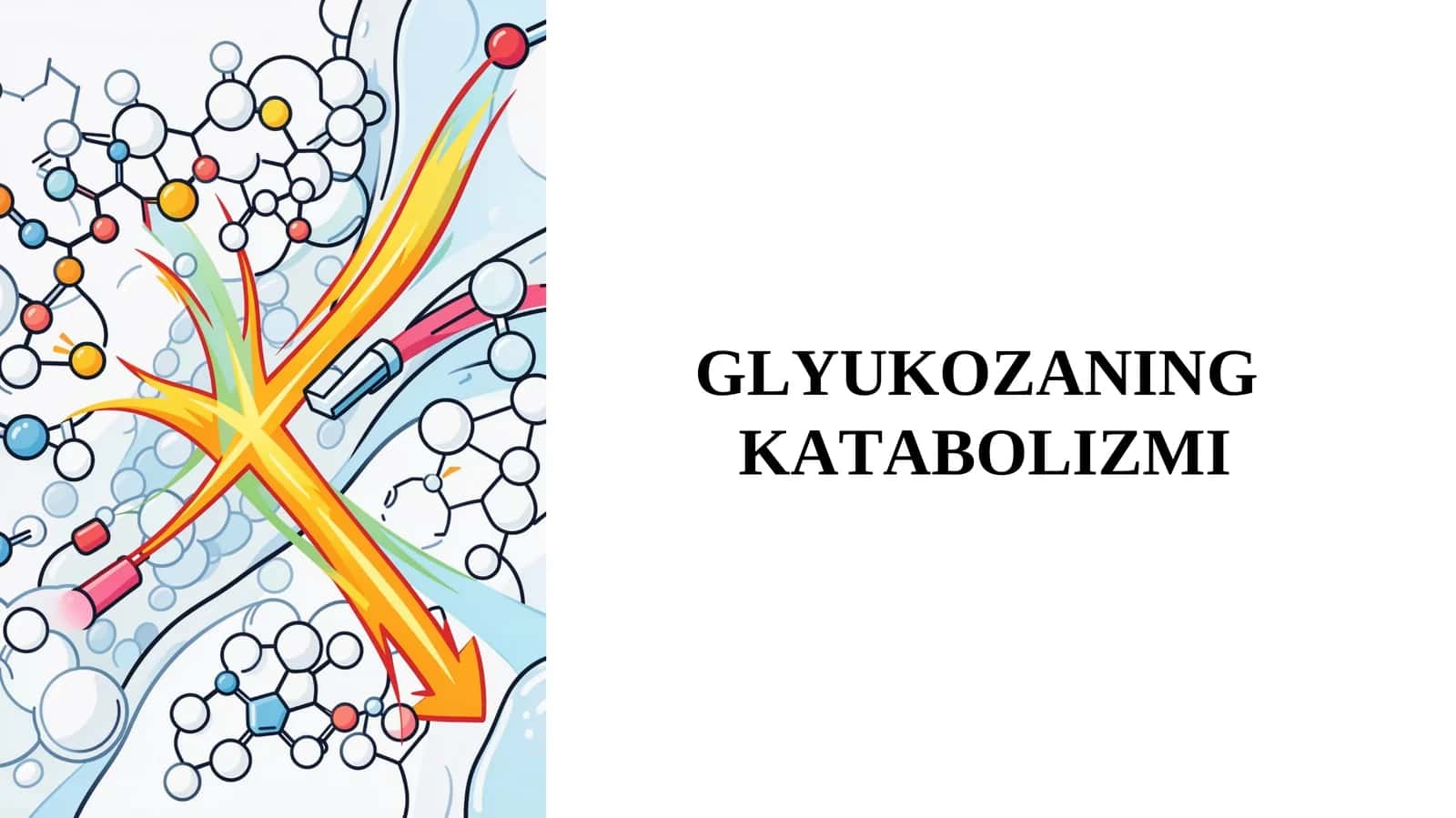 GLYUKOZANING KATABOLIZMI 1