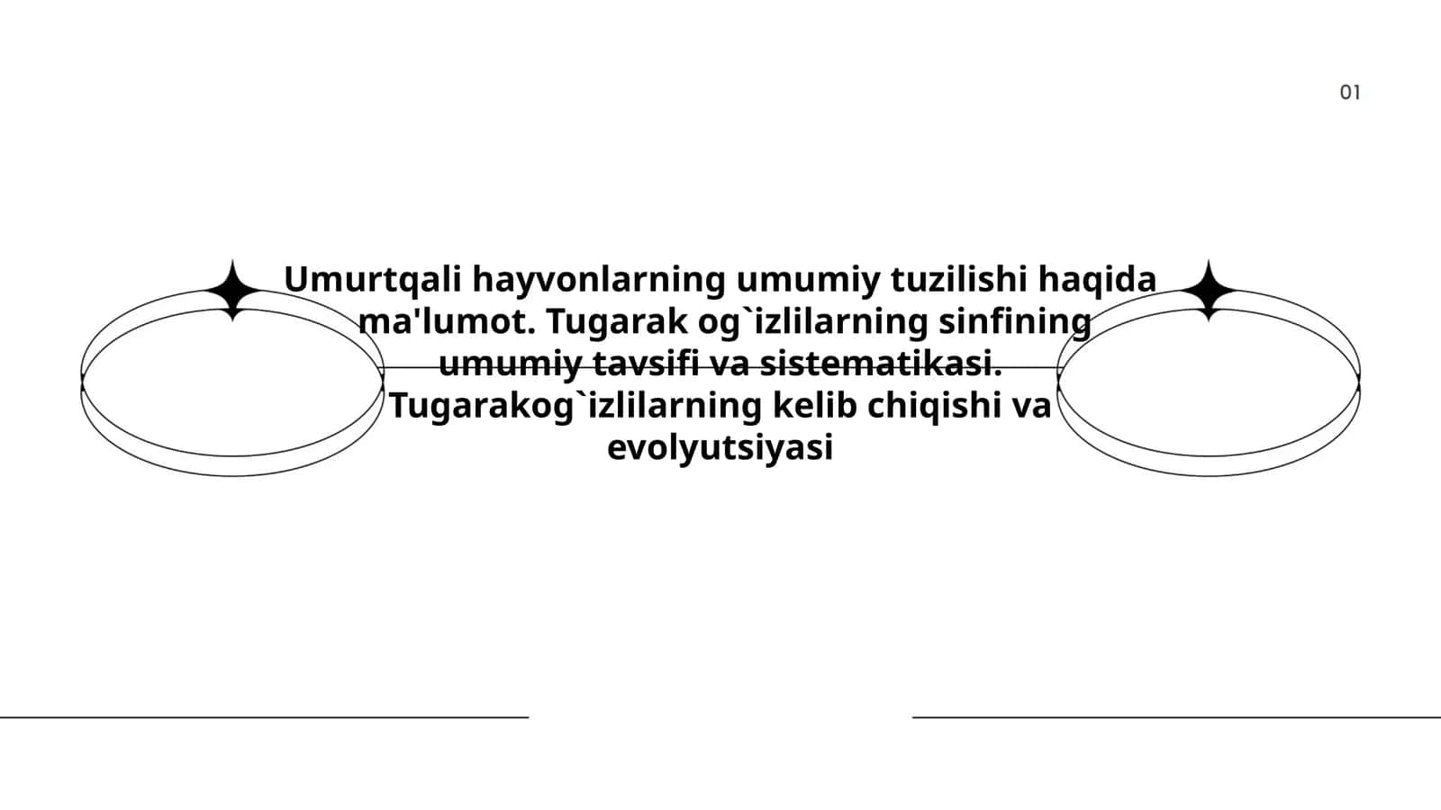 Umurtqali hayvonlarning umumiy tuzilishi 1