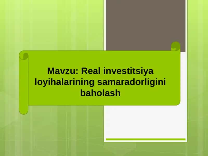 Real investitsiya loyihalarining samaradorligini baholash 1