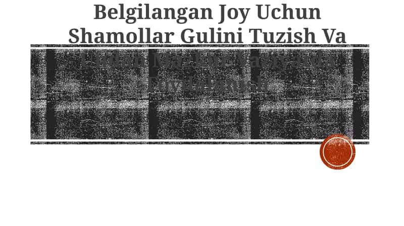 Shamollar Gulini 1